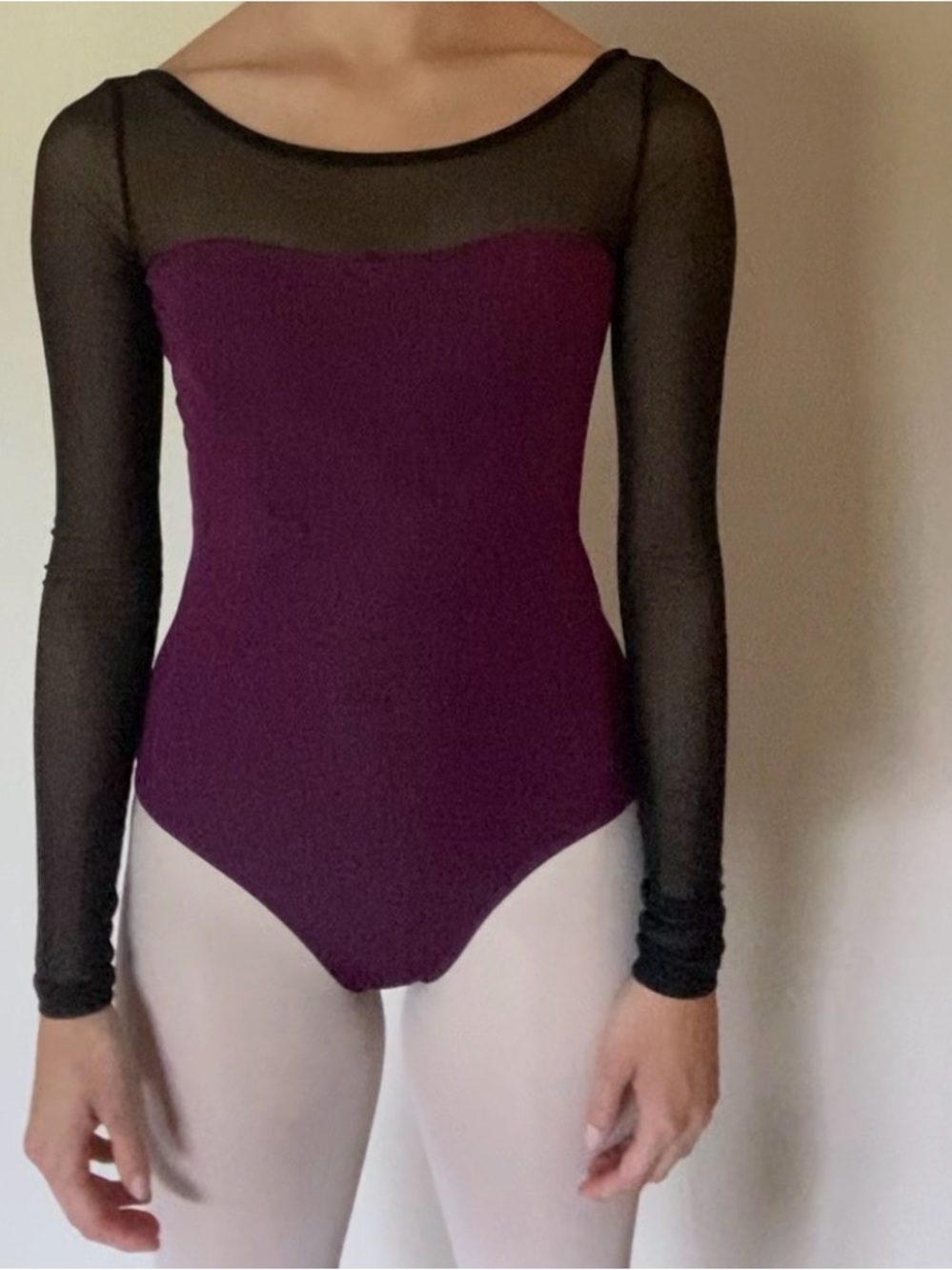Mariia Long Sleeve Mesh Ballet Leotard in Plum and Black